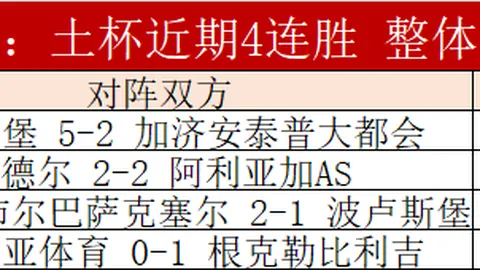 “2025年世界杯丹麦国家队名单揭晓”